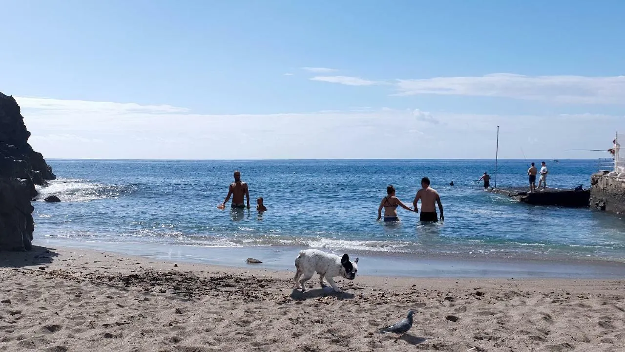 Apartment Costa Del Silencio 0*,